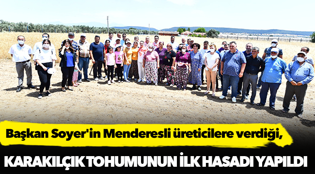 Başkan Soyer'in Menderesli üreticilere verdiği karakılçık tohumunun ilk hasadı yapıldı