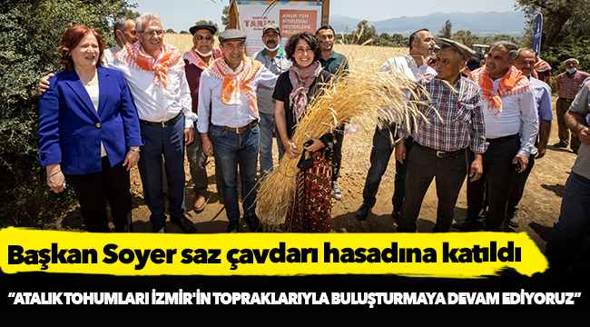 Başkan Soyer saz çavdarı hasadına katıldı