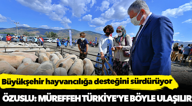 Büyükşehir hayvancılığa desteğini sürdürüyor