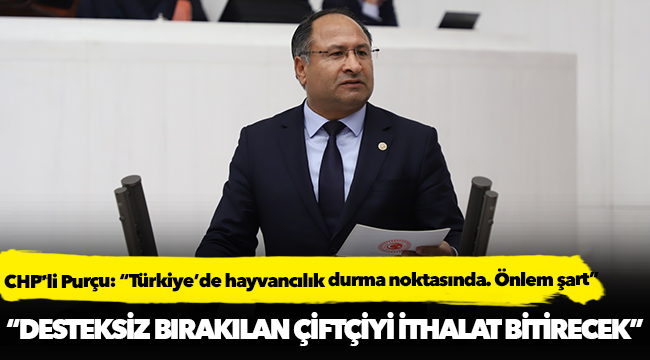 CHP’li Purçu: “Türkiye’de hayvancılık durma noktasında. Önlem şart”