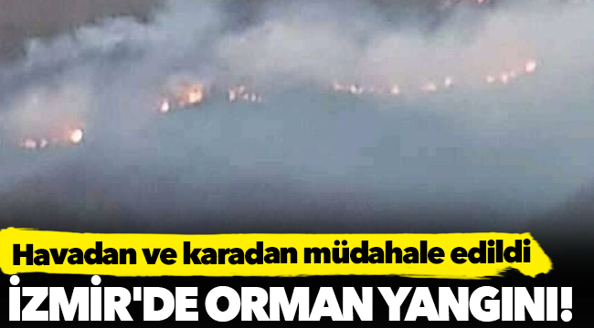 İzmir'de orman yangını! Havadan ve karadan müdahale edildi
