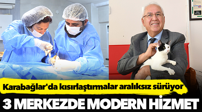 Karabağlar'da kısırlaştırmalar aralıksız sürüyor