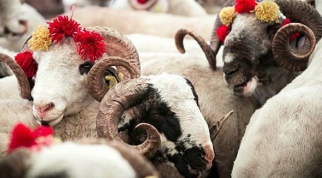 Kurban Bayramı tatili 11 gün olacak iddiası!