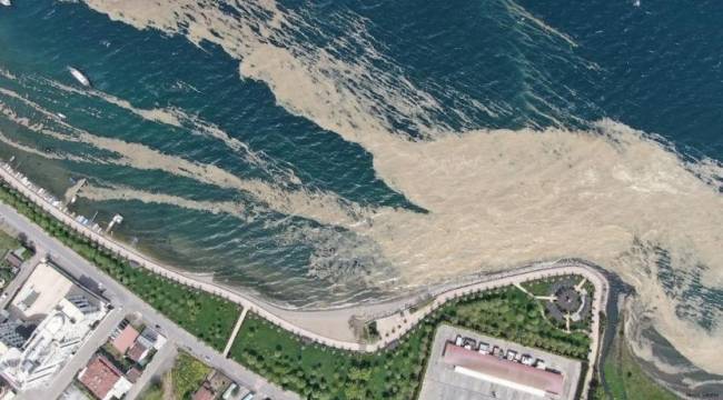 'Marmara Denizi'nin tamamını Koruma Alanı ilan edeceğiz' açıklaması