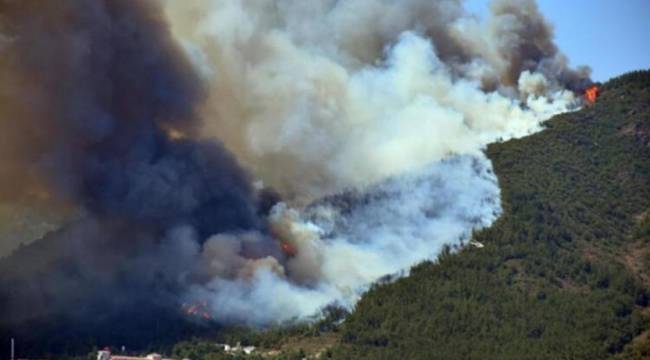 Muğla'da orman yangını: Karayolu kapatıldı, evler tahliye ediliyor