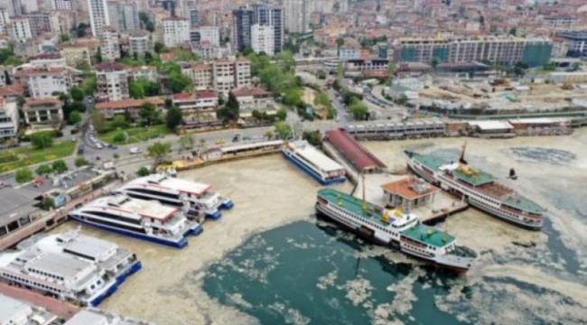 Müsilaj felaketi resmen göz göre göre gelmiş: Tam 9 kez uyarmışlar