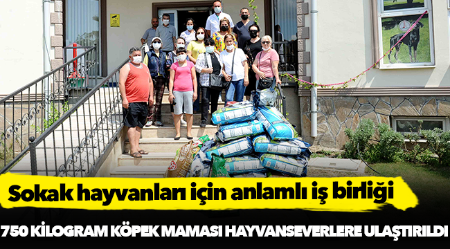 Sokak hayvanları için anlamlı iş birliği