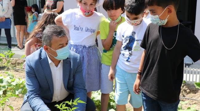 Ücretsiz dağıtılan sebze fideleriyle okul bostanı oluşturuldu