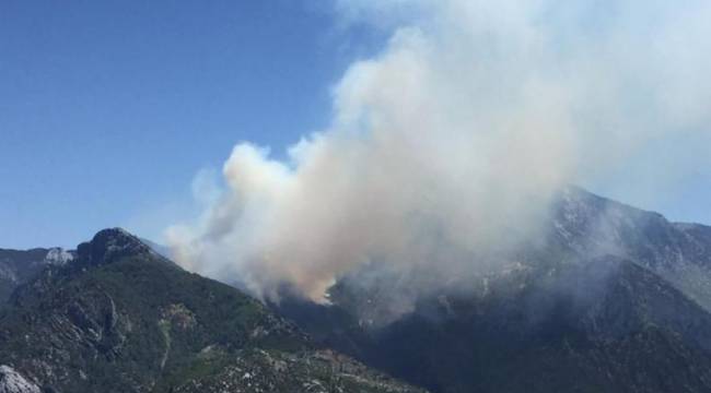 Bakanlık: 74 yangın kontrol altında, 11 yangın devam ediyor