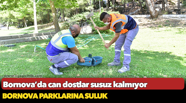 Bornova’da can dostlar susuz kalmıyor