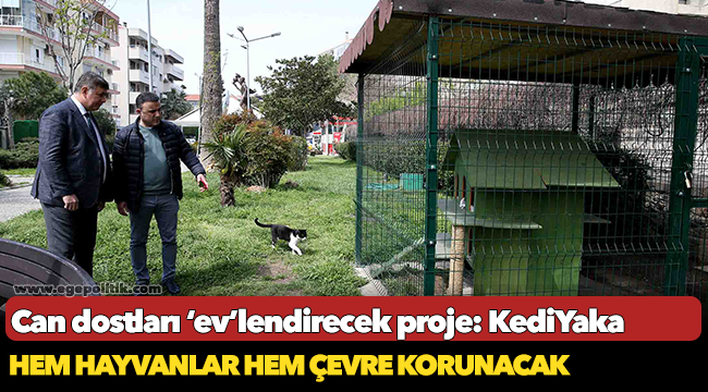 Can dostları ‘ev’lendirecek proje: KediYaka