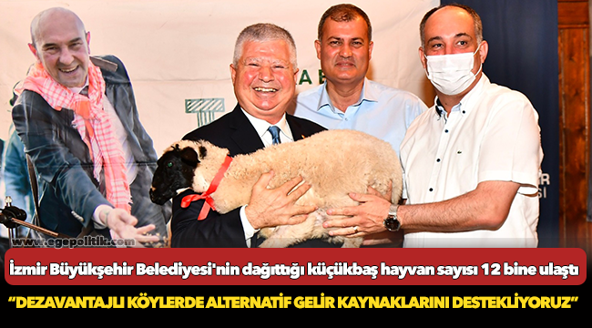 İzmir Büyükşehir Belediyesi’nin dağıttığı küçükbaş hayvan sayısı 12 bine ulaştı