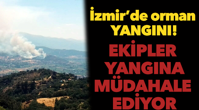 İzmir Kiraz'da orman yangını çıktı