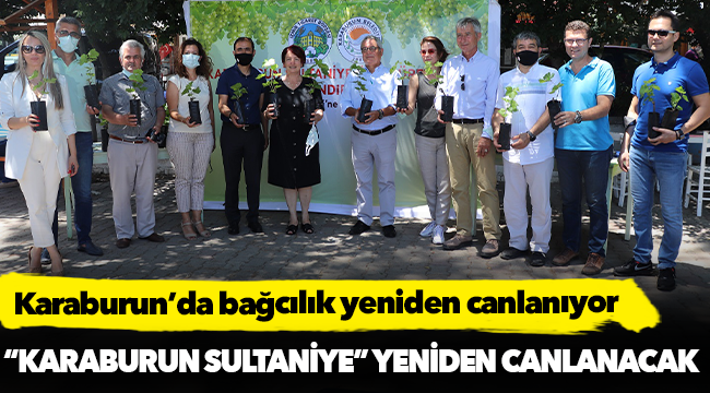 Karaburun’da bağcılık yeniden canlanıyor…