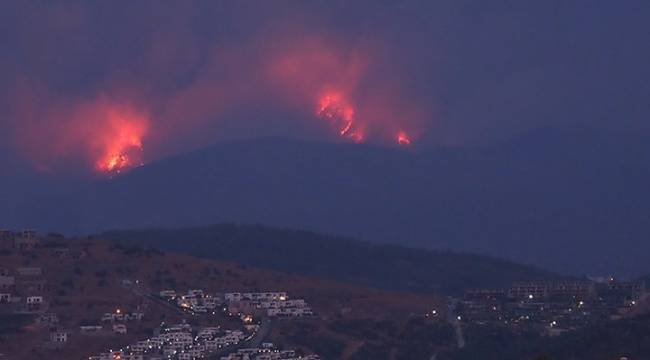 Bakan Koca: Yangınlarda 8 kişi yaşamını yitirdi, 1154 kişi yaralandı
