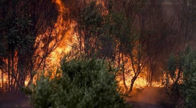 Bakan yardımcısından belediye başkanına skandal yanıt: 'Uçaklar geliyor ama siz göremiyorsunuz'
