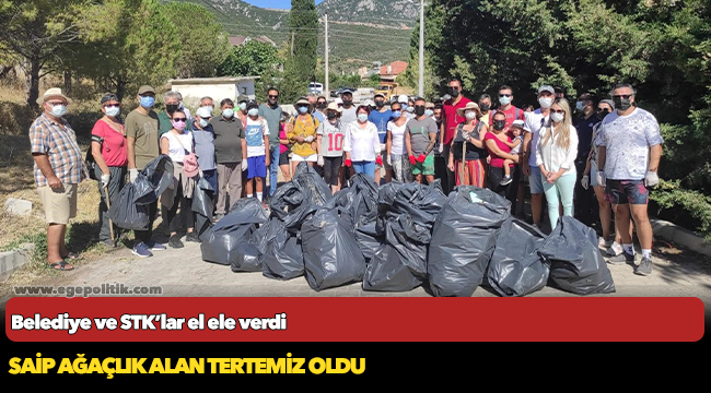Belediye ve STK’lar el ele verdi, Saip ağaçlık alan tertemiz oldu