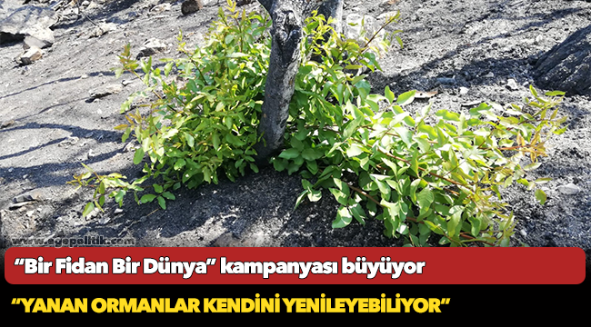 “Bir Fidan Bir Dünya” kampanyası büyüyor