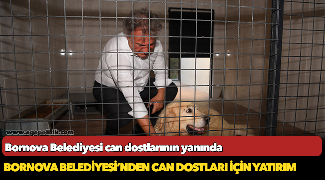 Bornova Belediyesi can dostlarının yanında