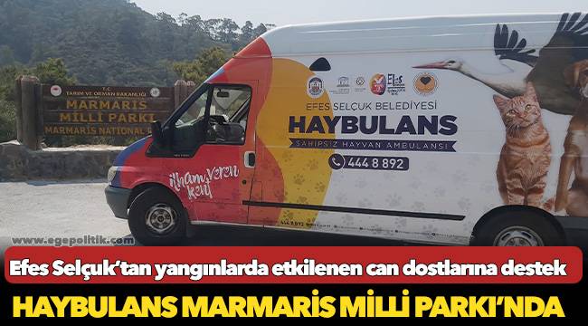Efes Selçuk’tan yangınlarda etkilenen can dostlarına destek