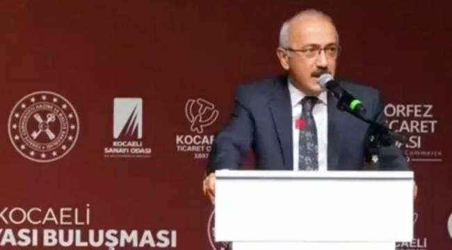 Hazine ve Maliye Bakanı Lütfi Elvan: Yüzde 8'in üzerinde büyüme bekliyoruz
