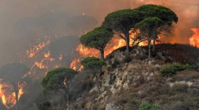 İtalya itfaiyesi: Son 24 saatte 1130 müdahalede bulunduk