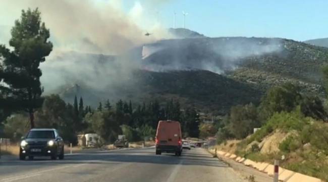 İzmir'de iki bölgede orman yangını