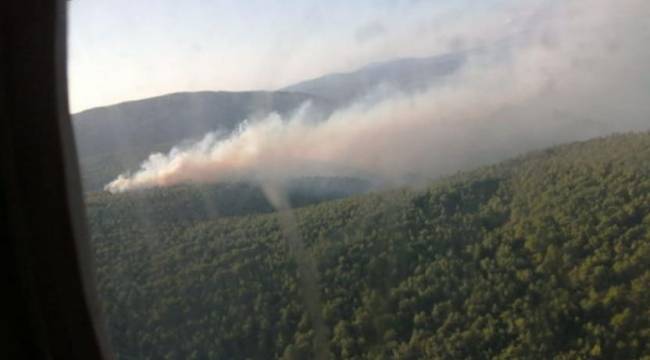 İzmir’deki orman yangını kontrol altına alındı