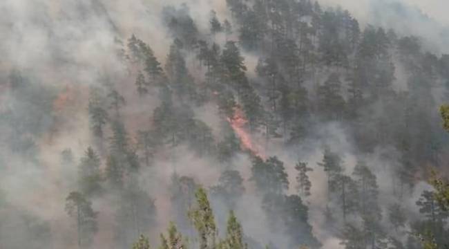 İzmir Mekan Rehberi’nden Yardım Çağrısı