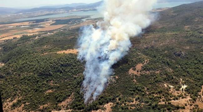 İzmir Menderes&#039;te orman yangını çıktı
