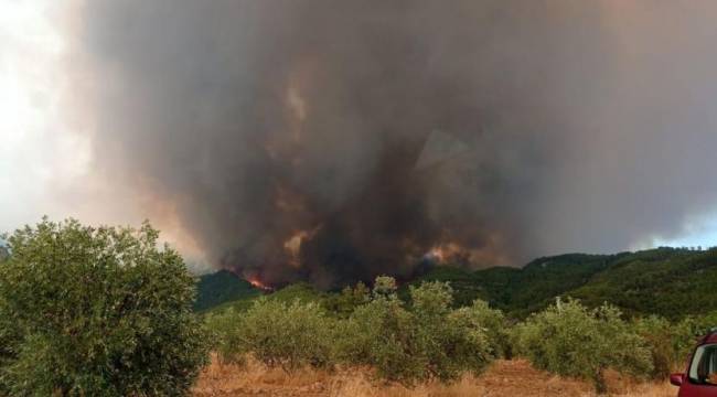 Köyceğiz'de yangın 5 noktada sürüyor: İki mahalle boşaltıldı