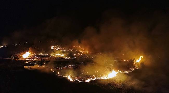 Manavgat'taki yangını çıkardığı belirlenen çocuğun ifadesi ortaya çıktı