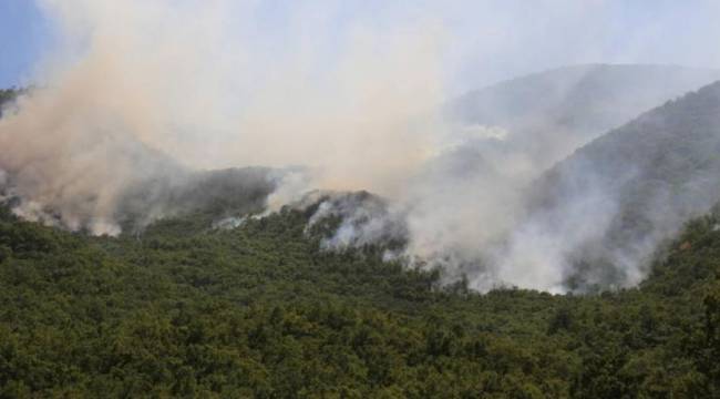 Orman Genel Müdürlüğü'nden yangın açıklaması