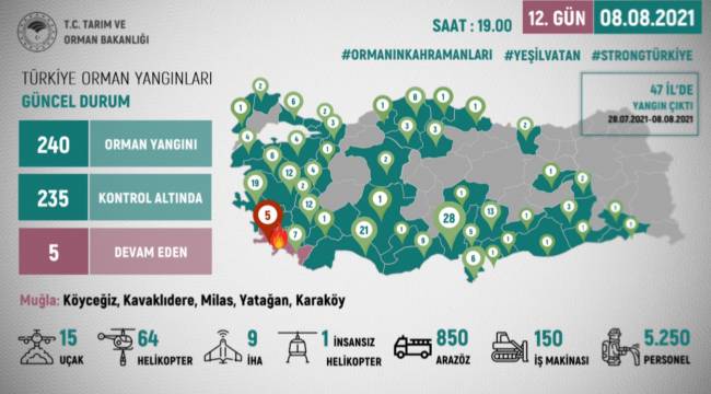 Orman yangınları: 240 yangından 5'i devam ediyor
