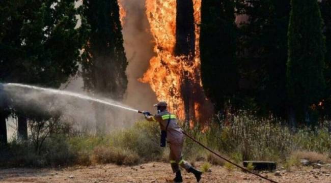 Orman yangınları Yunanistan'da da devam ediyor