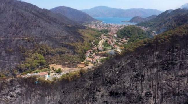 Refah Partisi yanan ormanlara 'kenevir' ekilmesini istedi