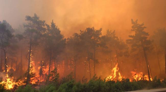 Türkiye, 6 gündür yangınlarla mücadele ediyor: 3 ildeki 7 yangın sürüyor, 32 ildeki 119 yangın kontrol altında