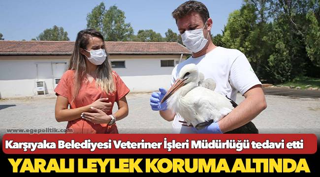 Yaralı leylek koruma altında