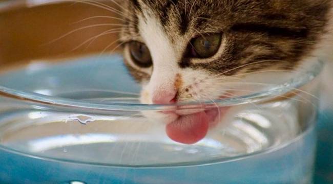 Yine sıcak hava dalgası geliyor