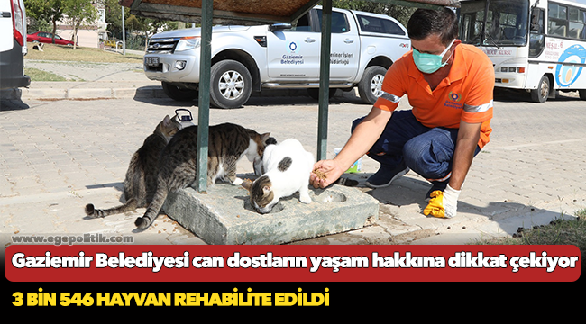 Gaziemir Belediyesi can dostların yaşam hakkına dikkat çekiyor