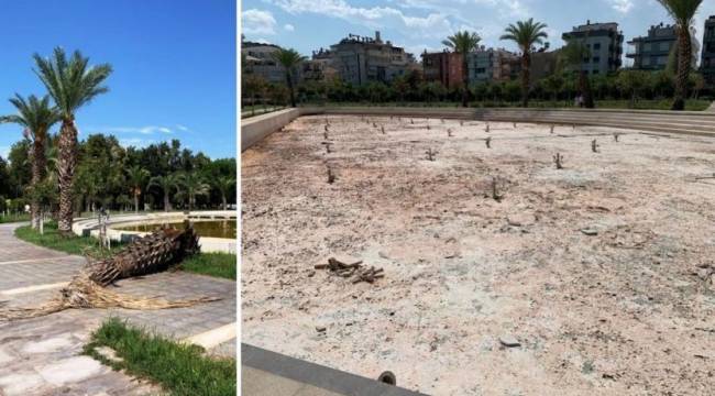 İşte Türkiye'nin ilk 'millet bahçesi'nin hali!