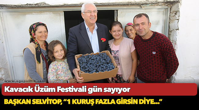 Kavacık Üzüm Festivali gün sayıyor