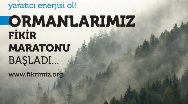 Ormanlar için fikir maratonu başladı