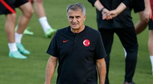 Şenol Güneş'ten tazminat açıklaması