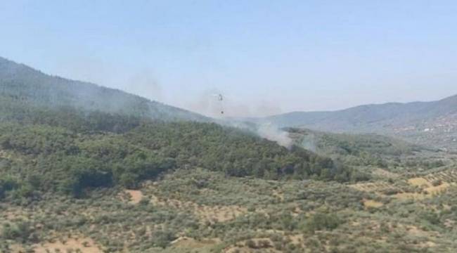 İzmir'deki orman yangını sonrası bir gözaltı