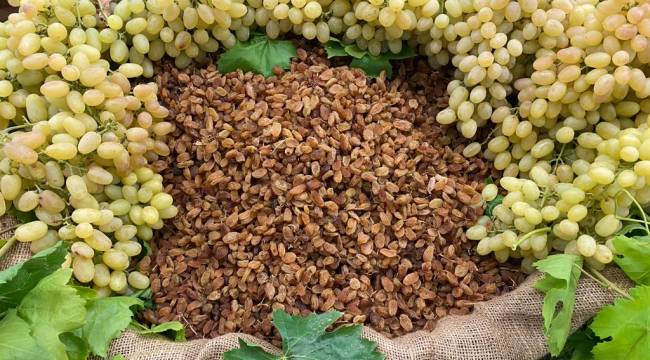 Kuru üzüm ihracatçıları son tüketiciye ürün satmak için kolları sıvadı