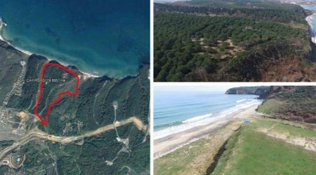 AKP'li belediyenin arazisi AKP ilçe yöneticisine verildi: 'CHP’liye mi ihale vereyim?'