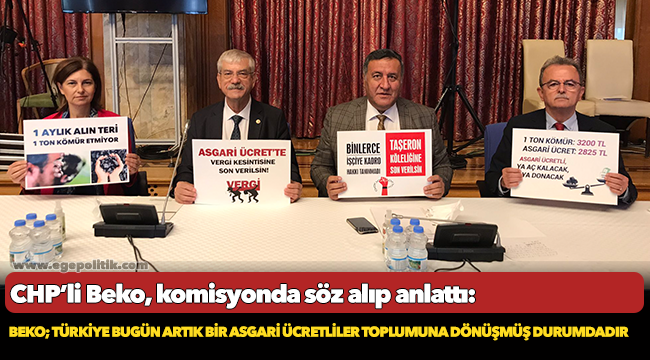 Beko; Türkiye bugün artık bir asgari ücretliler toplumuna dönüşmüş durumdadır