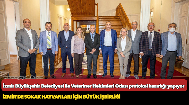 İzmir’de sokak hayvanları için büyük işbirliği