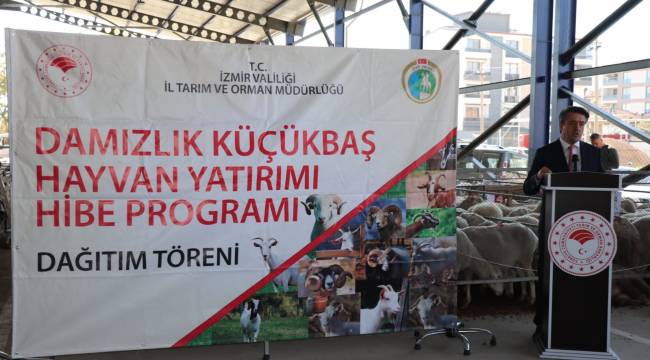 Küçükbaş Hayvancılık ve Arıcılık Hibe Desteği Bir Arada